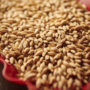 Weyermann Munich Malt T1